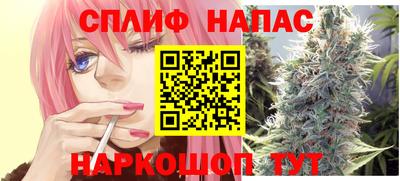 амф Донской
